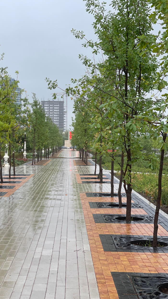 Приствольная решетка для дерева ZKING CRUST 1.2х1.2м Черная в Хасавюрте фото