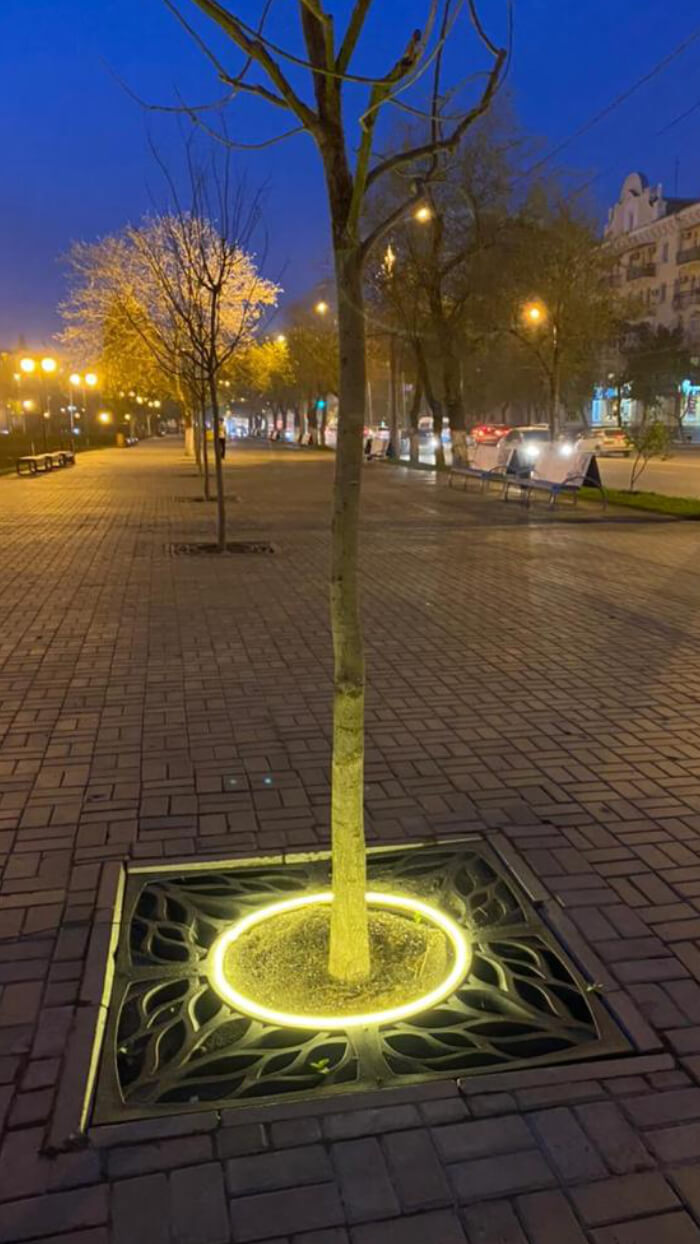 Приствольная решетка для дерева ZKING CRUST 1.2х1.2м Черная в Хасавюрте фото